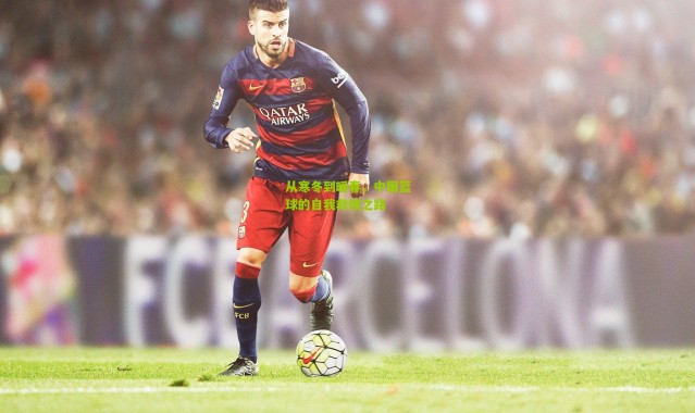 从寒冬到暖春，中国篮球的自我救赎之路