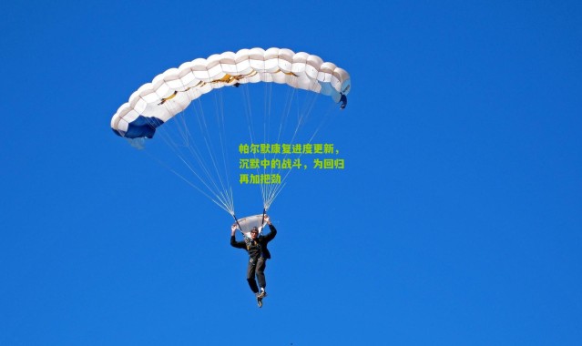 帕尔默康复进度更新，沉默中的战斗，为回归再加把劲