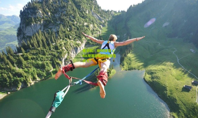 看手机！响彻球馆 CBA观赛体验升级路在何方？