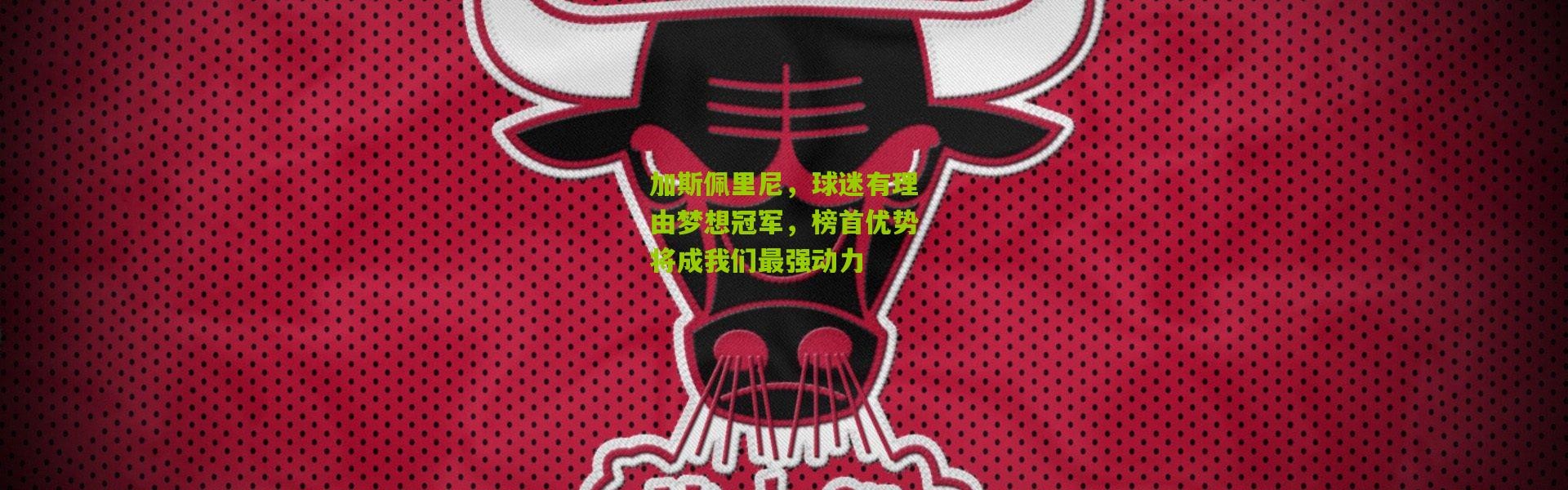 加斯佩里尼，球迷有理由梦想冠军，榜首优势将成我们最强动力