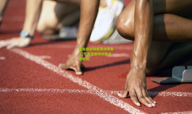 看台刮起绿色海洋风暴 辽宁男篮静待终极卫冕时刻