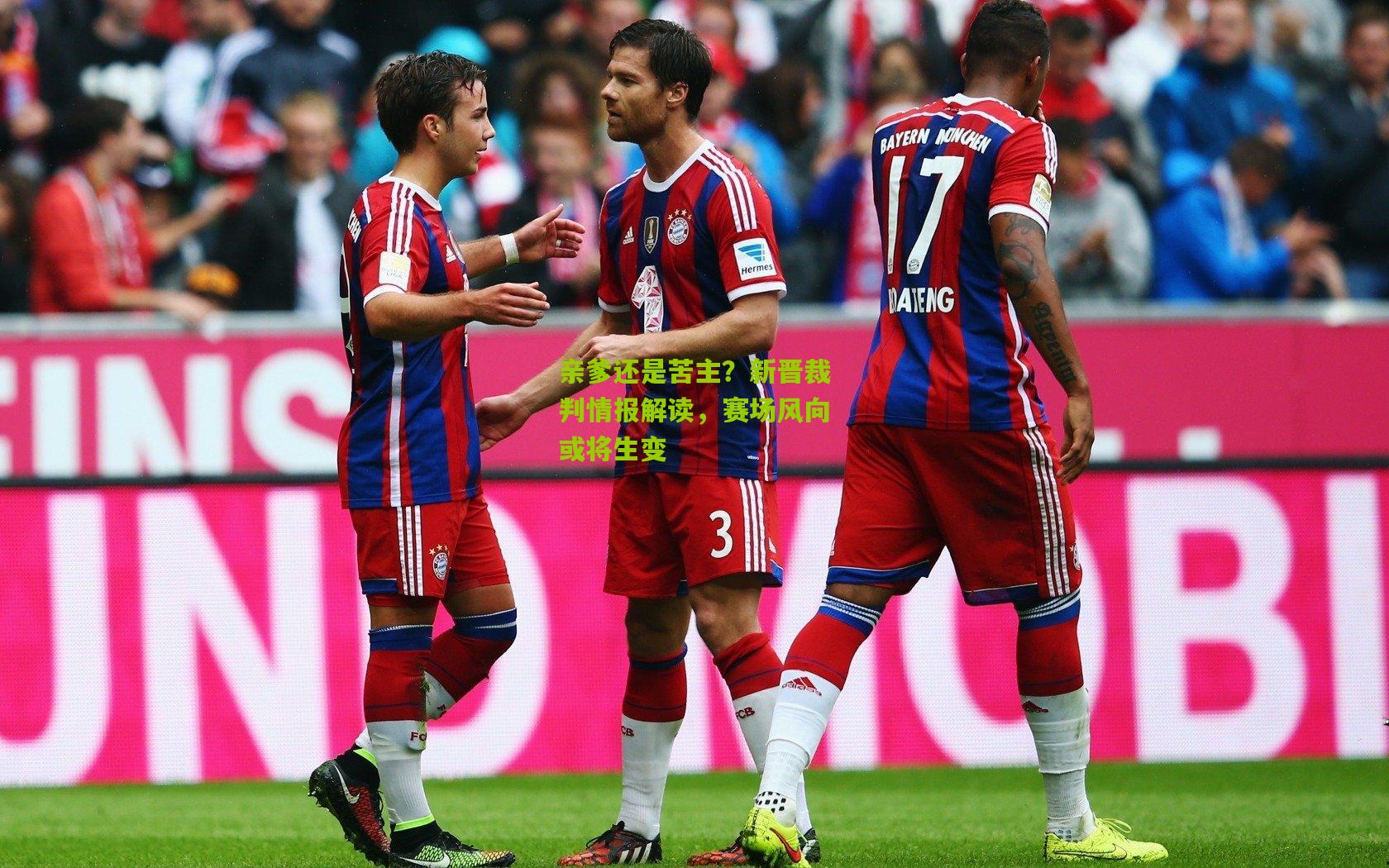 亲爹还是苦主?新晋裁判情报解读,赛场风向或将生变